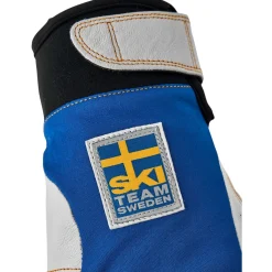 Hestra Ergo Grip Active, skihandsker, blå/gul