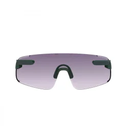 POC Elicit Toric, solbriller, pargasite green