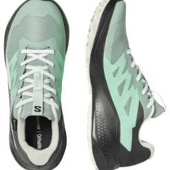 Salomon Alphaglide GTX, løbesko, dame, grøn/grå