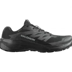 Salomon Alphaglide GTX, løbesko, herre, sort