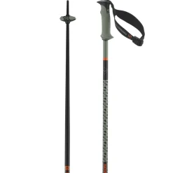 Salomon Polar Pro S3, skistave, grøn