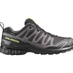 Salomon XA PRO 3D V9 GTX, trailsko, herre, sort/grøn
