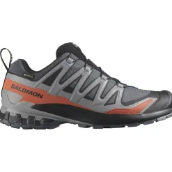 Salomon XA Pro 3D V9 GTX, trailsko, herre, grå/rød