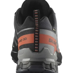 Salomon XA Pro 3D V9 GTX, trailsko, herre, grå/rød