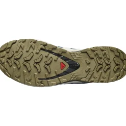 Salomon XA Pro 3D V9 GTX, trailsko, herre, blå